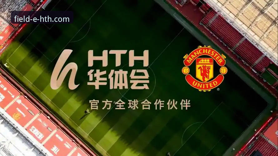 从资深用户视角，深度解析华体会体育数据平台的核心功能与实战价值